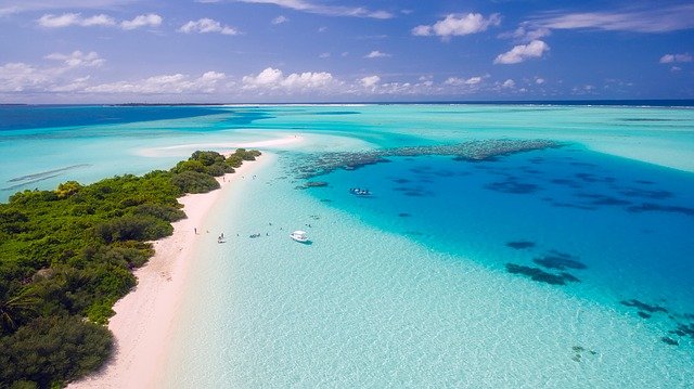 Planning a family vacation